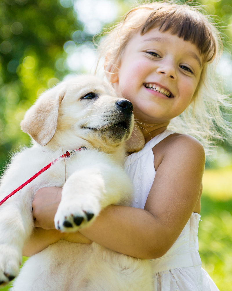 Young Girl with Family Dog