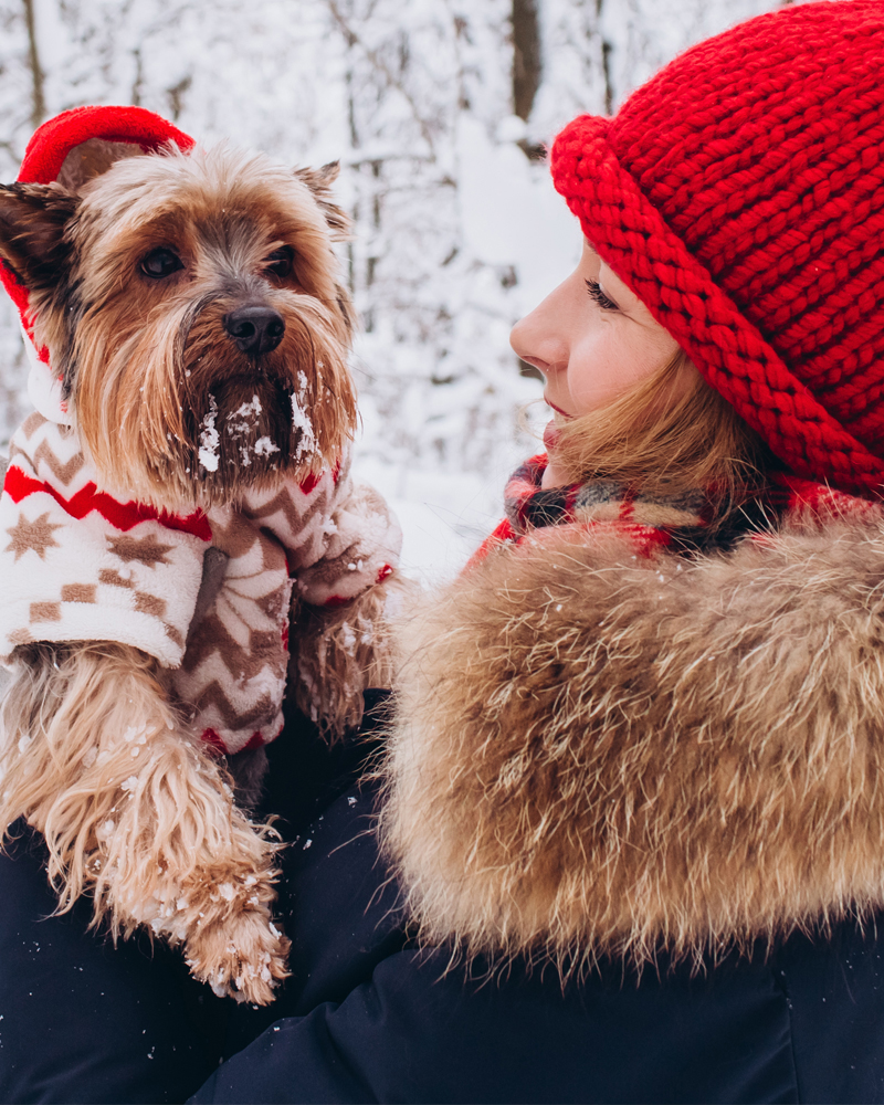 Happy women getting puppy kisses